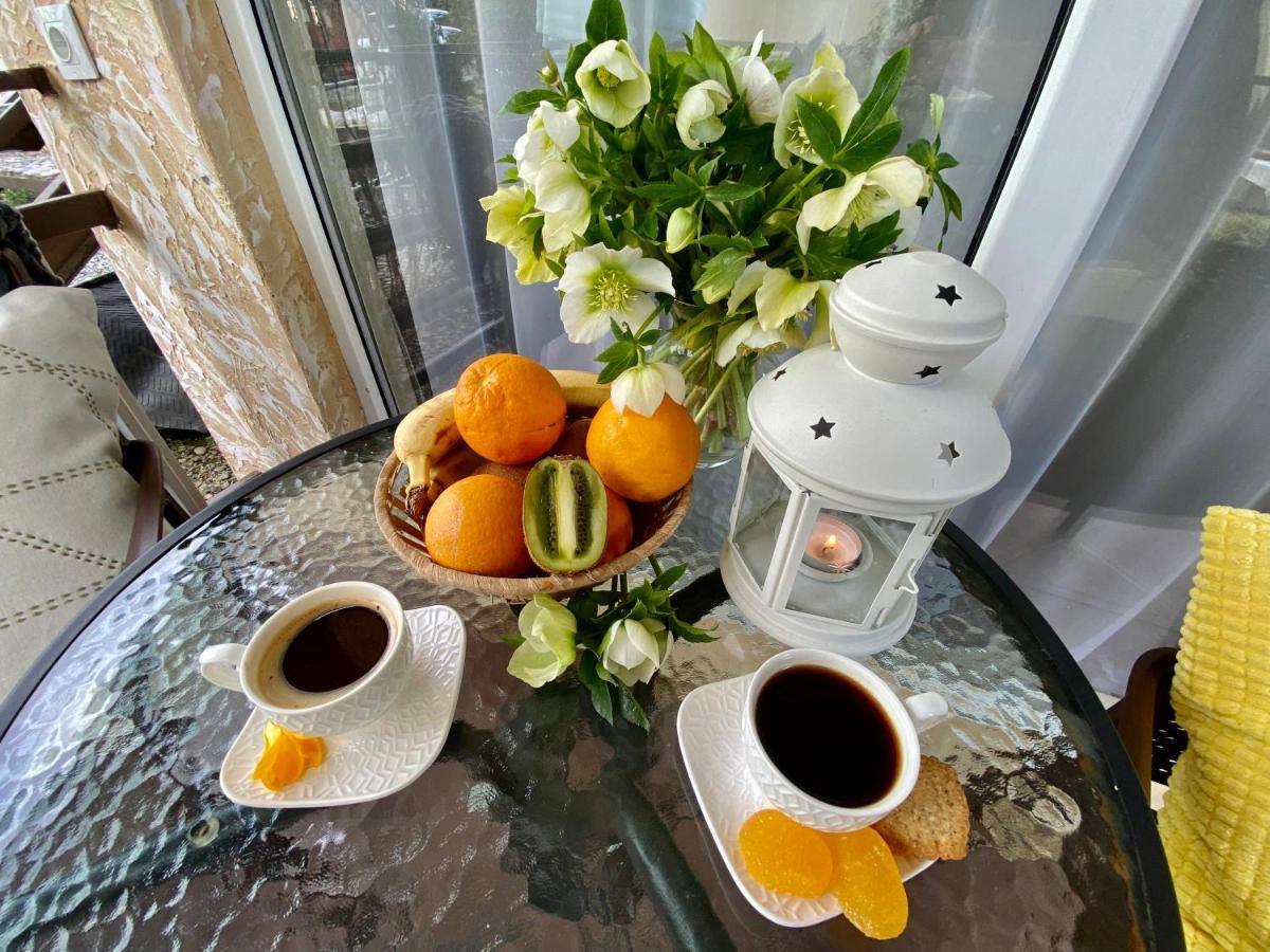 بيزوندا Мини-Отель Дарья В Пицунде المظهر الخارجي الصورة